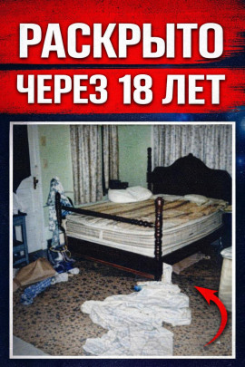 Книга Двадцать лет тайны