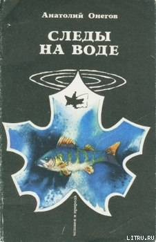 Книга Ильин, Инспектор и Я