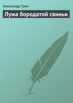Книга Лужа бородатой свиньи