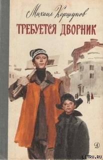 Книга Требуется дворник