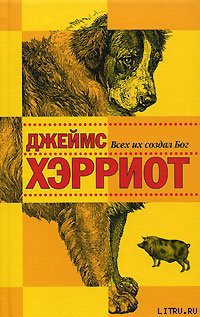 Книга И все они – создания природы