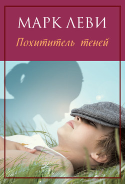 Книга Похититель теней