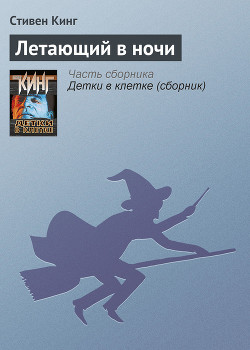 Книга Летающий в ночи