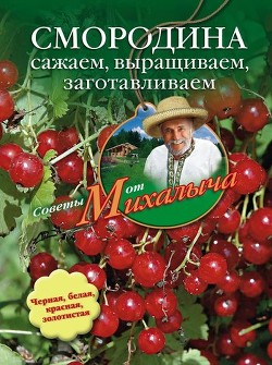 Книга Бахчевые культуры. Сажаем, выращиваем, заготавливаем, лечимся