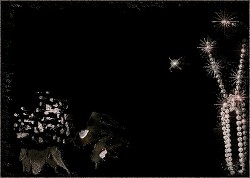 Книга Поцелуй Ангела Смерти (СИ)