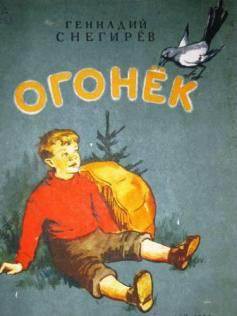 Книга Огонек