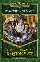 Книга Князь Палаэль. В другом мире