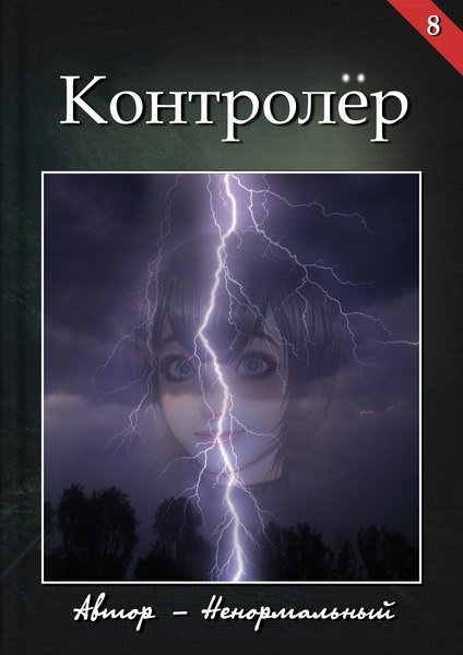 Книга Контролер
