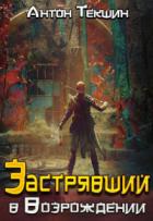 Книга Застрявший в «Возрождении»
