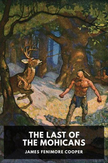 Книга The Last of the Mohicans
