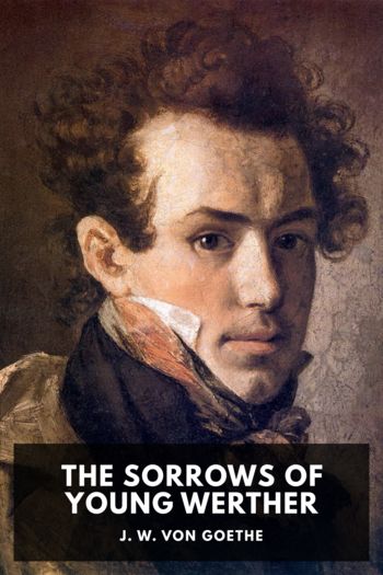 Книга The Sorrows of Young Werther
