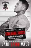 Книга Conjugal Visits