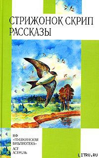 Книга Стрижонок Скрип