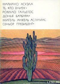 Книга Синьор президент