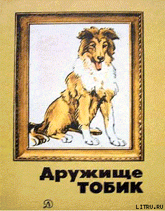 Книга Бичи