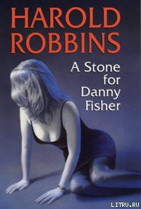 Книга Камень для Дэнни Фишера