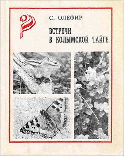 Книга Встречи в Колымской тайге