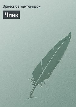 Книга Чинк