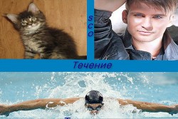 Книга Течение (СИ)