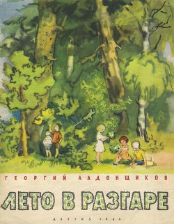 Книга Лето в разгаре