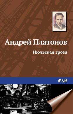 Книга Июльская гроза
