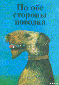 Книга И неожиданно выпал снег...