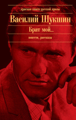 Книга Обида