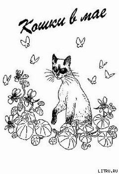 Книга Кошки в мае