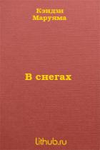 Книга В снегах