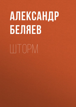 Книга Шторм