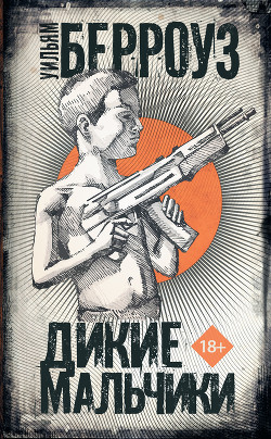 Книга Дикие мальчики