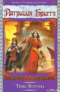 Книга Тень Ворона