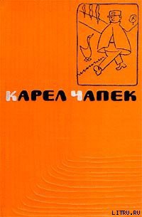 Книга Дашенька, или история щенячьей жизни