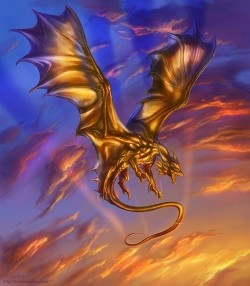 Книга Дракон (СИ)