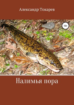 Книга Налимья пора