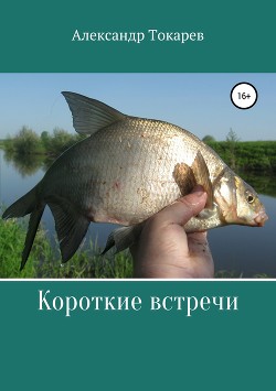 Книга Короткие встречи