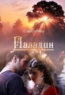 Книга Паладин (СИ)