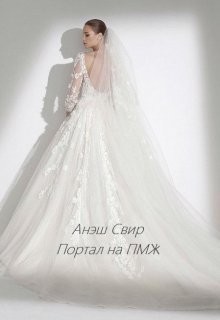 Книга Портал на ПМЖ (СИ)