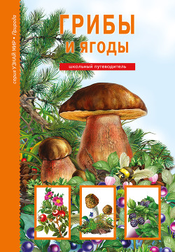 Книга Грибы и ягоды