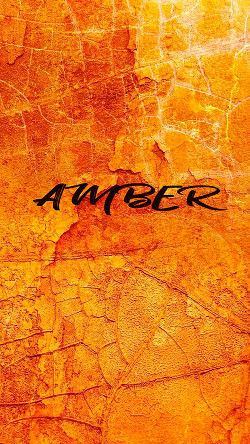 Книга Amber