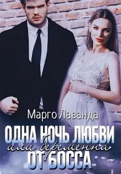Книга Одна ночь любви, или Беременна от босса (СИ)