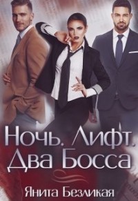 Книга Ночь. Лифт. Два Босса (СИ)