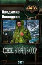 Книга Совок. Вперёд в СССР (СИ)