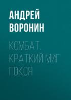 Книга Комбат. Краткий миг покоя