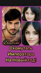 Книга Охомутать Императора на Новый Год! (СИ)