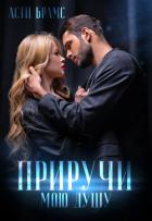 Книга Приручи мою душу