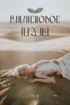 Книга Близнецoвoе Пламя (СИ)