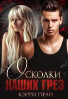 Книга Осколки наших грез (СИ)