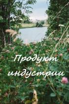Книга Продукт индустрии (СИ)