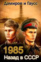 Книга Назад в СССР: 1985 Книга 3 (СИ)